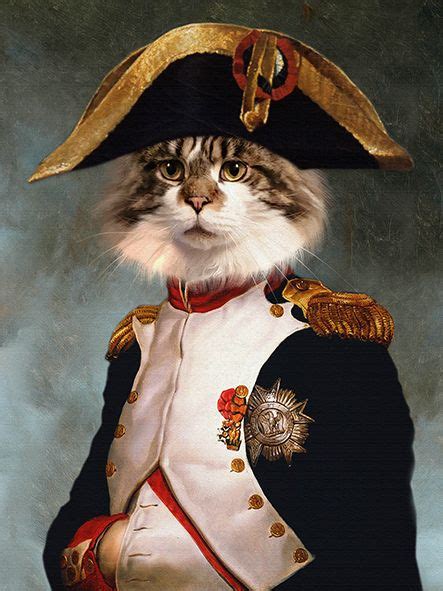 napoleon chat